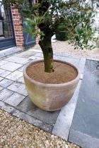 Nature - Kokos schijven (3 st.) - ø60cm  - plantbeschermingsschijf