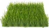 Europalms kunstplant gras grass tile, sun, 25x25cm