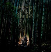 Dum Spiro Spero