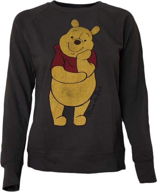 Ongelofelijk kopen leiderschap Winnie the Pooh dames Trui – Disney maat XS | bol.com