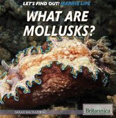 Let's Find Out! Marine Life - What Are Mollusks?
