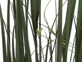 Europalms kunstplant gras Willow branch grass, 183cm