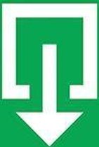 Van Lien Alulux PP 400 pictogram noodverlichting 12240005