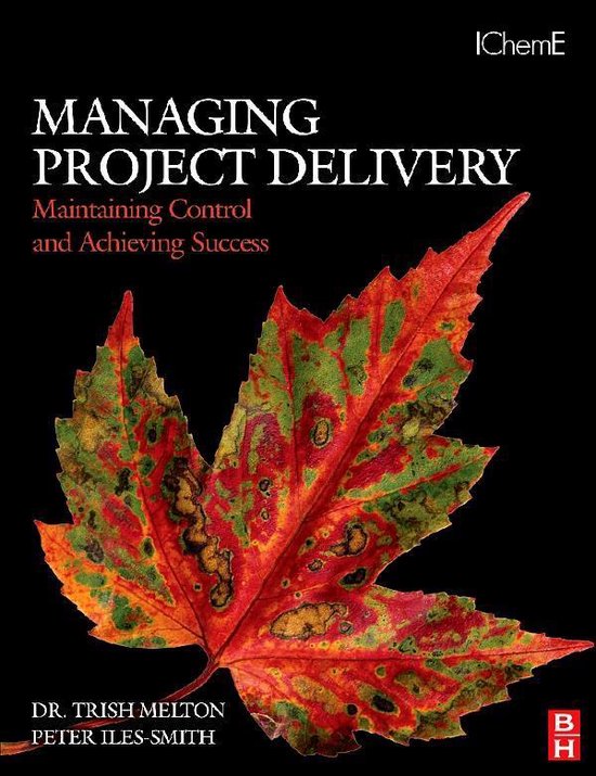 Managing Project Delivery: Maintaining Control and Achieving ... - cover
