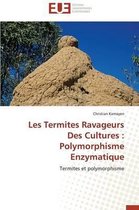 Les Termites Ravageurs Des Cultures