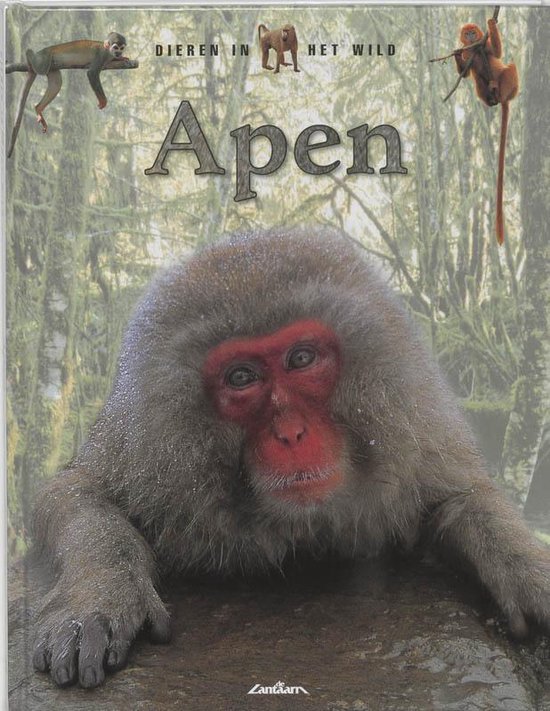 Cover van het boek 'Apen' van Tom Jackson