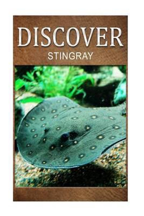 Stingray - cover