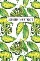 Addresses & Birthdays