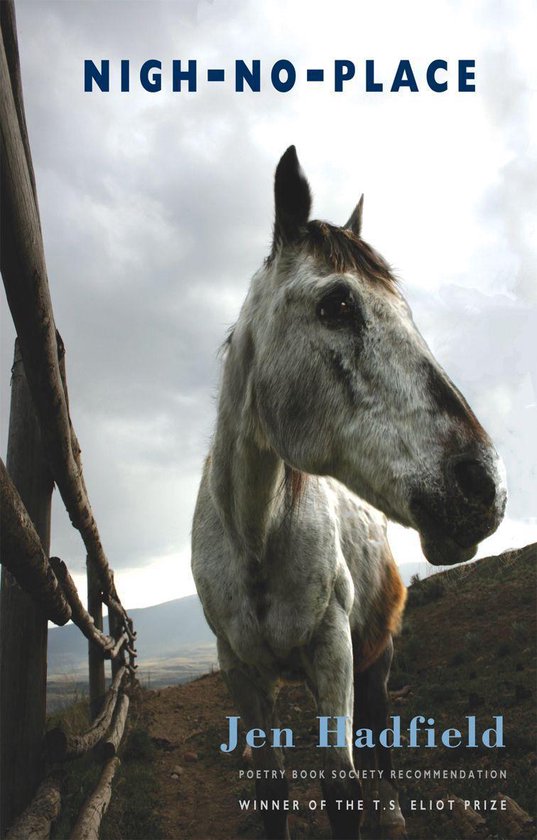 Couverture de livre avec un cheval devant une clôture, intitulée NIGH-NO-PLACE par Jen Hadfield.