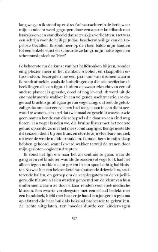 Het lam