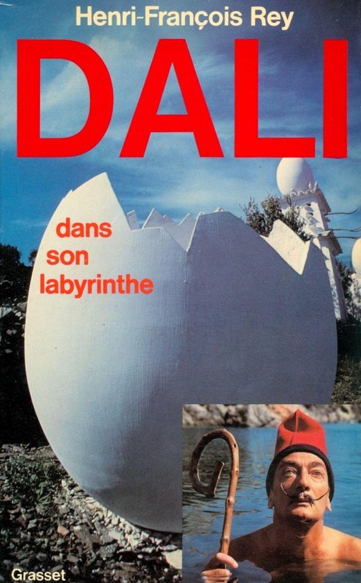 Dali dans son labyrinthe - cover