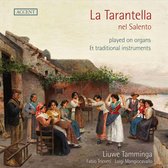 Liuwe Tamminga, Fabio Tricomi, Luigi Mangiocavallo - La Tarantella Nel Salento (CD)