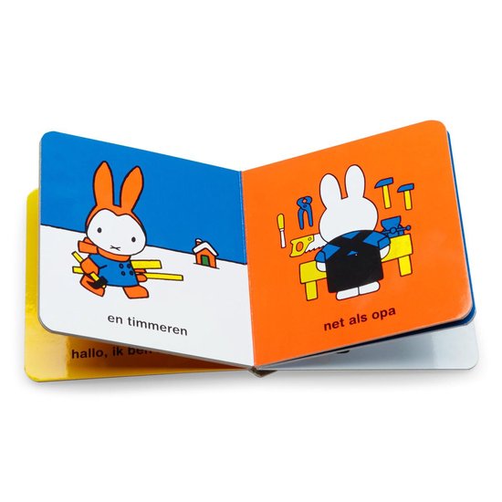 Nijntje uitdeelboekjes (box met 10 boekjes)
