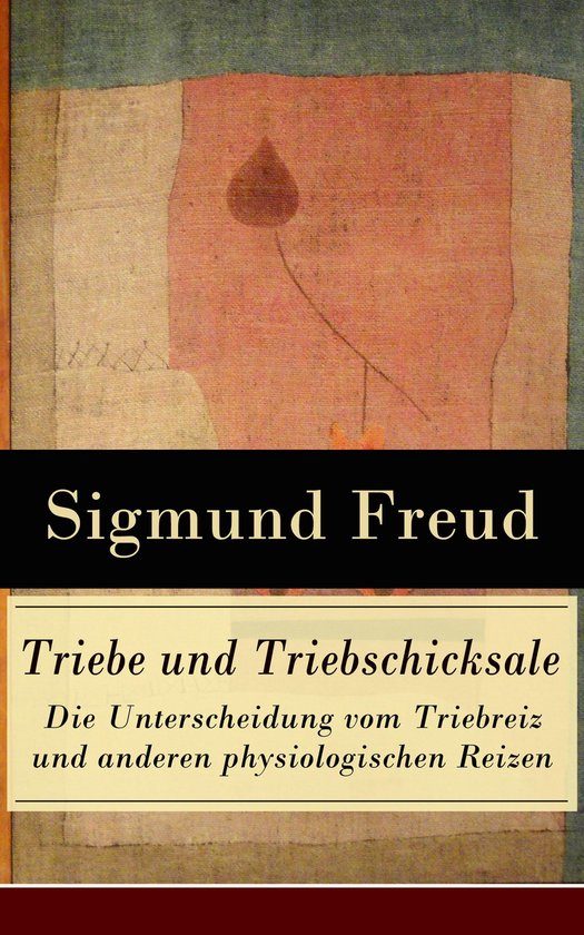 Triebe und Triebschicksale - Die Unterscheidung vom Triebrei ... - cover