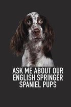 Ask Me about Our English Springer Spaniel Pups