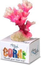 Ebi Decor Koraal S 10x7x5.5 cm Roze Wit
