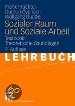 Sozialer Raum Und Soziale Arbeit: Textbook: Theoretische Grundlagen