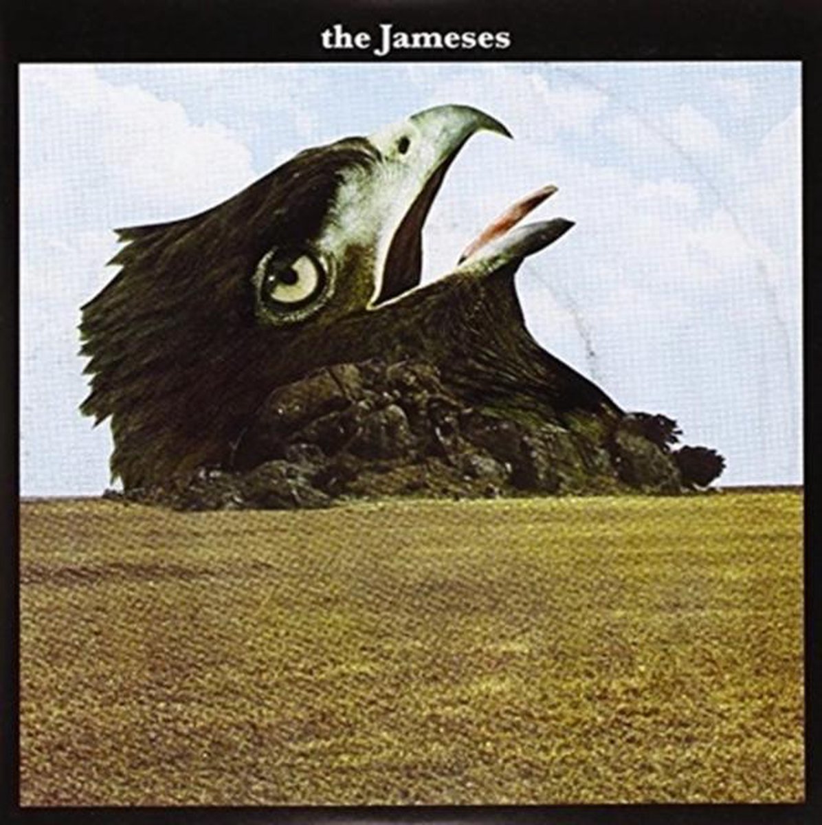 The Jameses - Caribou (7" Single)