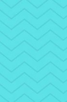 Blue Chevron Print Journal