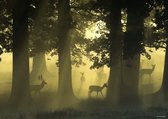 Magic Forest Collection Deer - Puzzel - 1000 stukjes