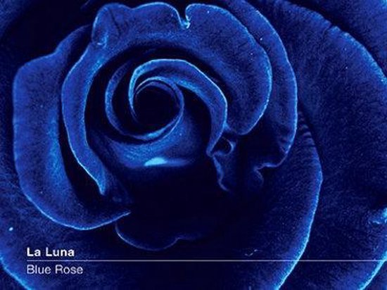 La Luna - Blue Rose