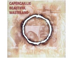 Beautiful Wasteland