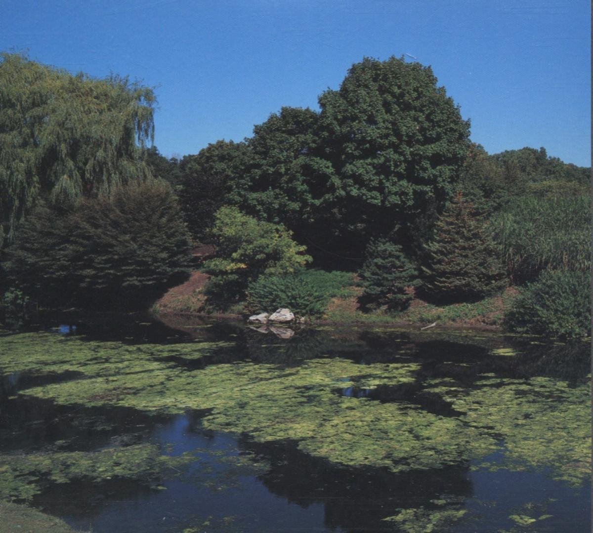 Shellac Terraform (CD), Shellac CD (album) Muziek