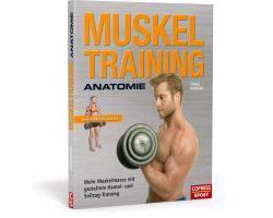 Muskeltraining Anatomie