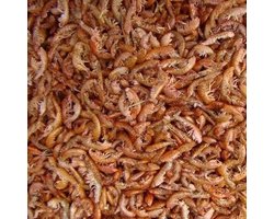Vlokreeftjes (Gammarus) - 5 Liter