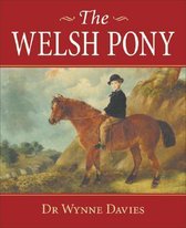 The Welsh Pony