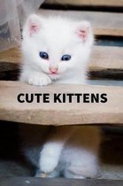 Cute Kittens