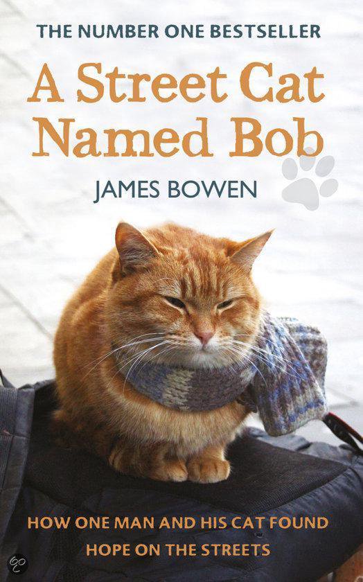 A Street Cat Named Bob - cover