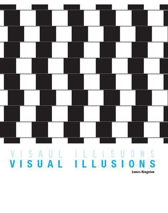 Minibooks - Visual Illusions - cover
