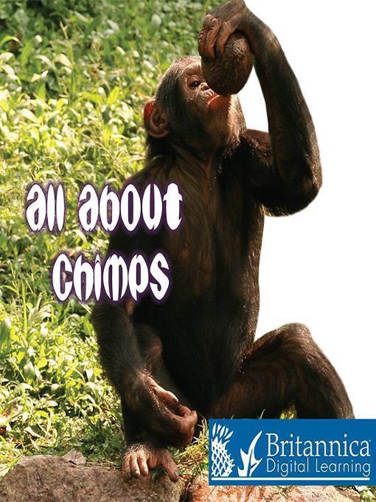 Board Books - All About Chimps - cover