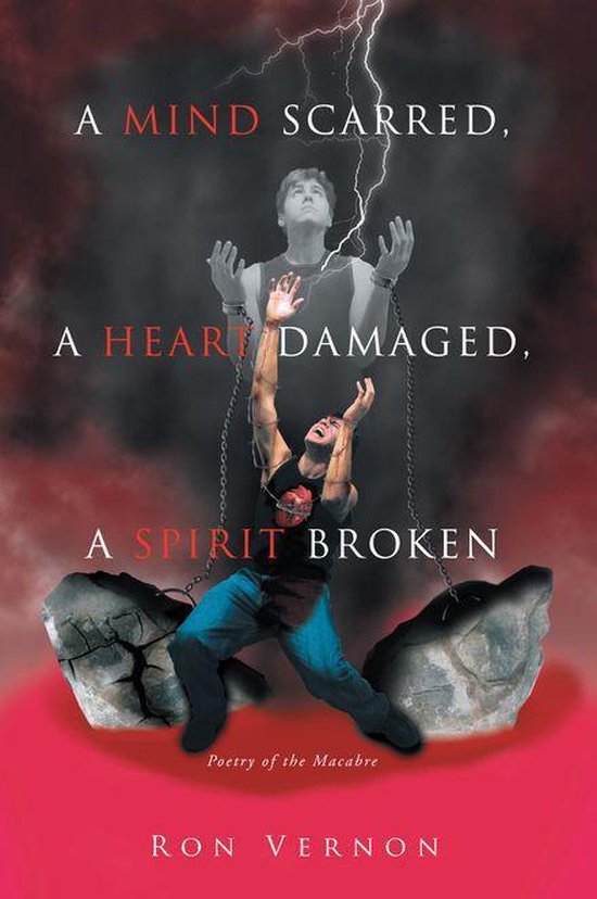 A Mind Scarred, a Heart Damaged, a Spirit Broken - cover