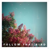 Follow That Bird - Wooden Bones (7" Vinyl Single)