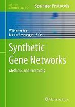 Synthetic Gene Networks