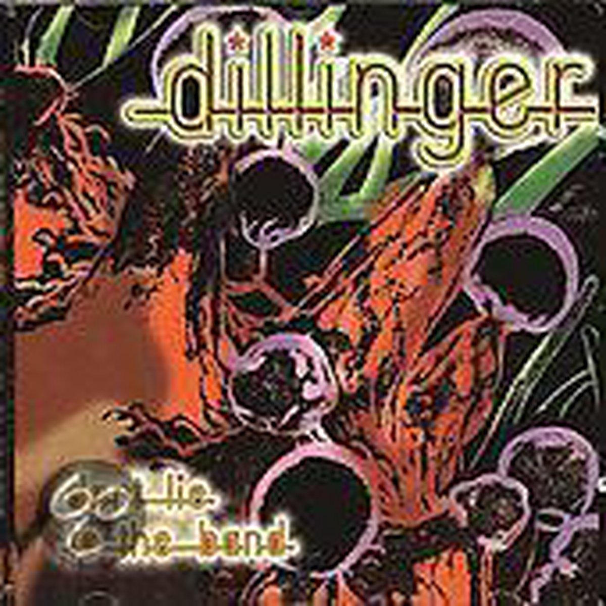 Afbeelding van product Don't Lie To The Band  - Dillinger