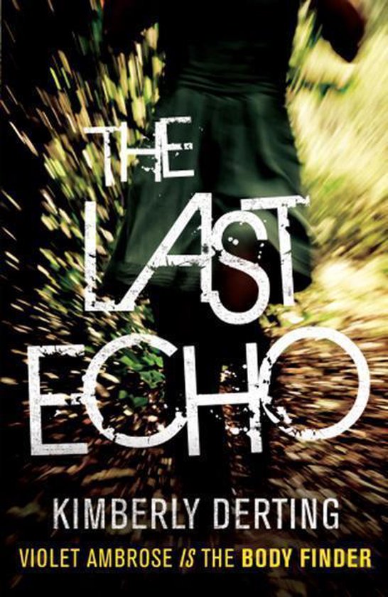 The Last Echo - cover