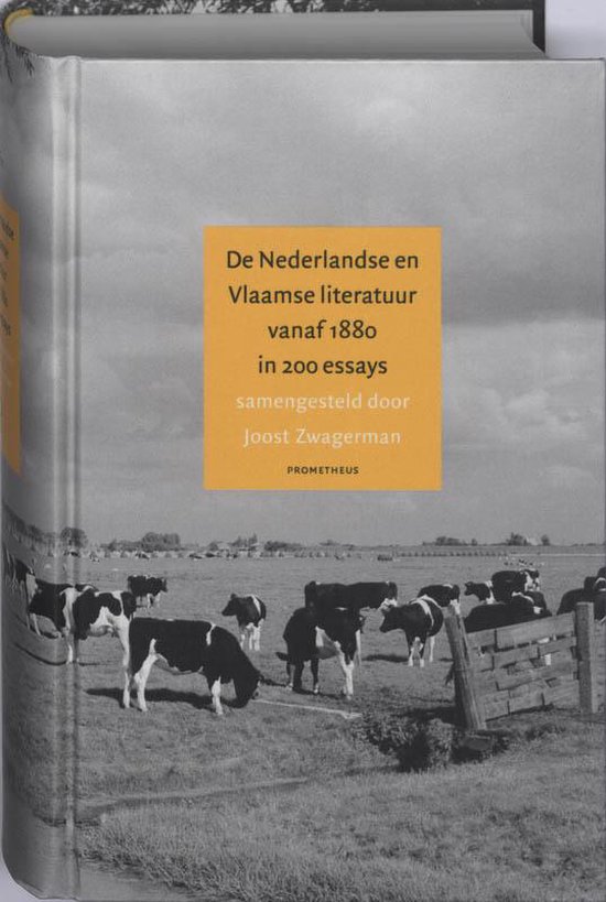 Omslag van Nederlandse en Vlaamse literatuur vanaf 1880 in 200 essays