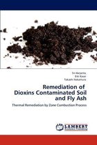 Remediation of Dioxins Contaminated Soil and Fly Ash