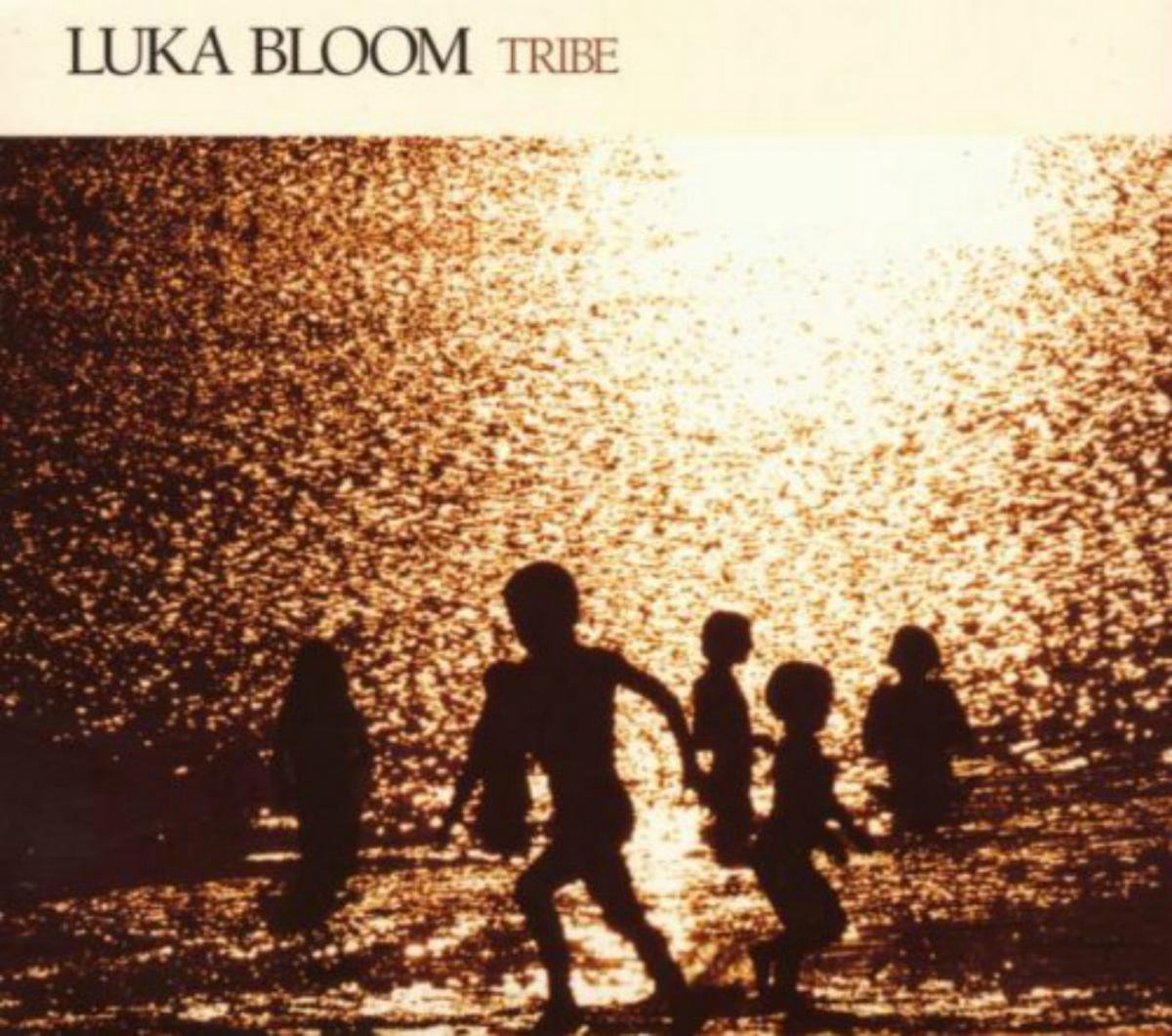 Afbeelding van product Tribe (Vinyl)  - Luka Bloom
