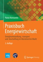 VDI-Buch - Praxisbuch Energiewirtschaft