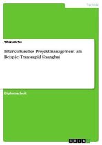 Interkulturelles Projektmanagement am Beispiel Transrapid Shanghai