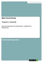 Negative Ästhetik: Eine Interpretation der Kantischen 'Analytik des Erhabenen'