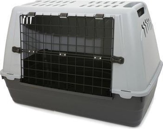 Cavia Reismand Gezocht? Vind hier de 15 beste van 2023! [koopgids