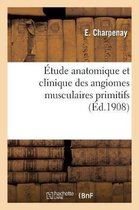 Étude Anatomique Et Clinique Des Angiomes Musculaires Primitifs