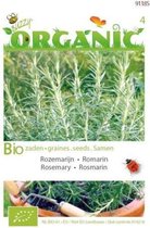 Buzzy® Organic Rozemarijn (BIO)