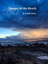 Danger At the Beach