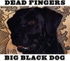 Big Black Dog